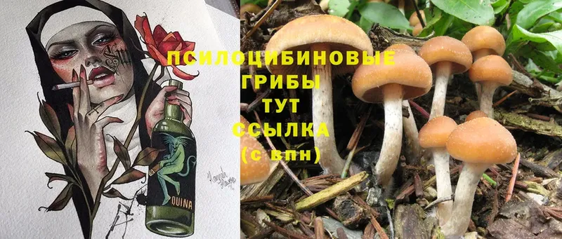 Галлюциногенные грибы MAGIC MUSHROOMS  Белозерск 