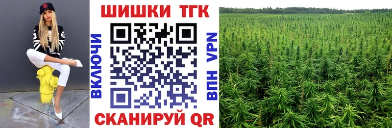 Бошки марихуана SATIVA & INDICA  где купить наркоту  Белозерск 